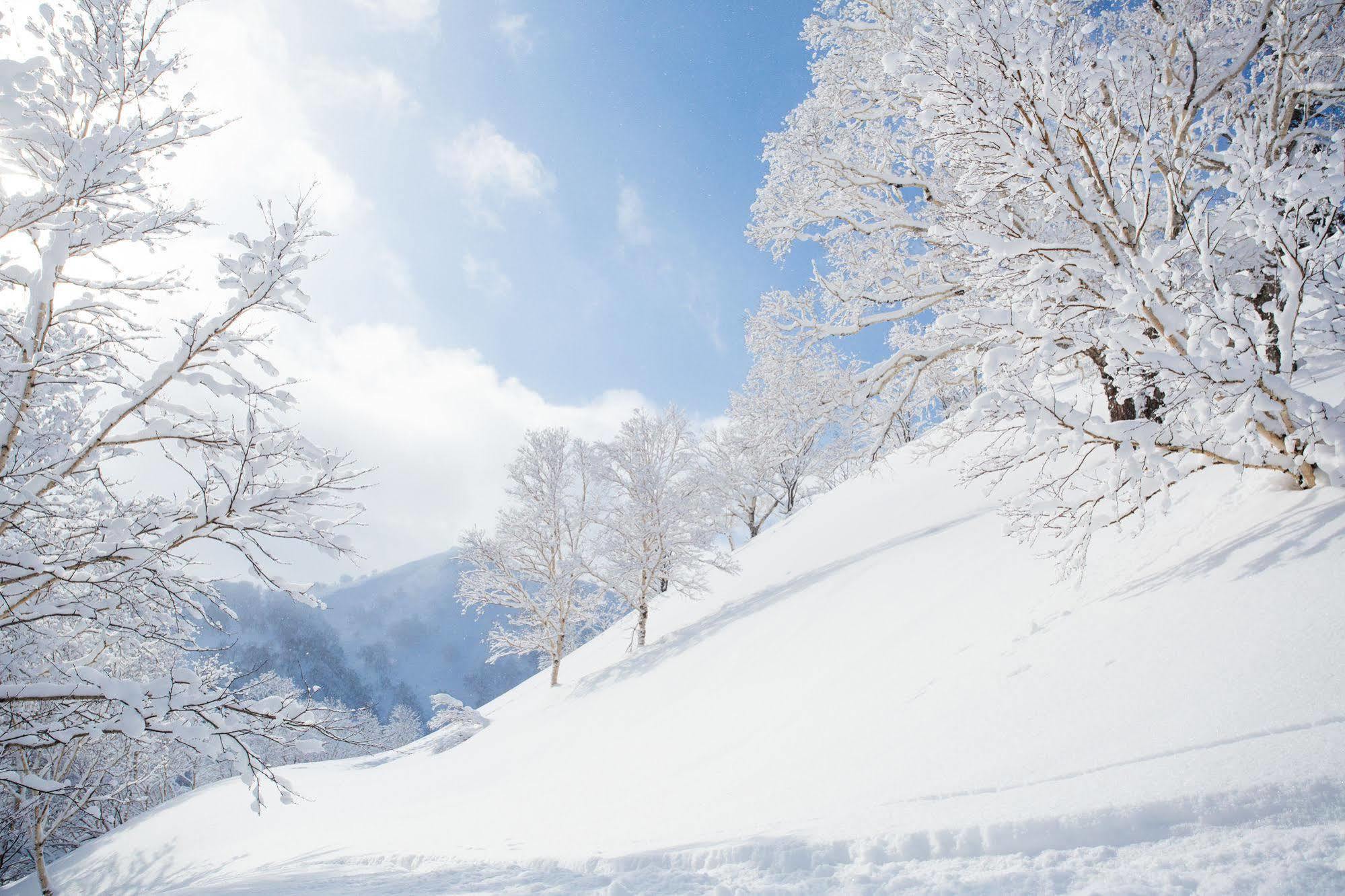 Moorea Lodge Niseko โอมาการิ ภายนอก รูปภาพ